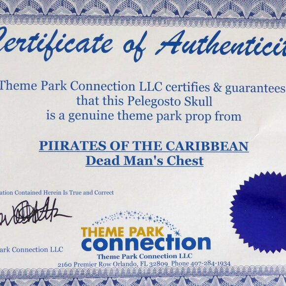 2006 DISNEY PIRATES OF THE CARIBBEAN OFFICIAL MOVIE FILM PROP PELEGOSTO SKULL - Picture 4 of 15